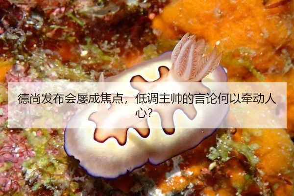 德尚发布会屡成焦点，低调主帅的言论何以牵动人心？